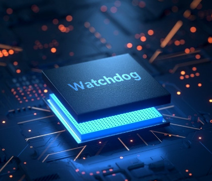 WS-431E подвійний Watchdog